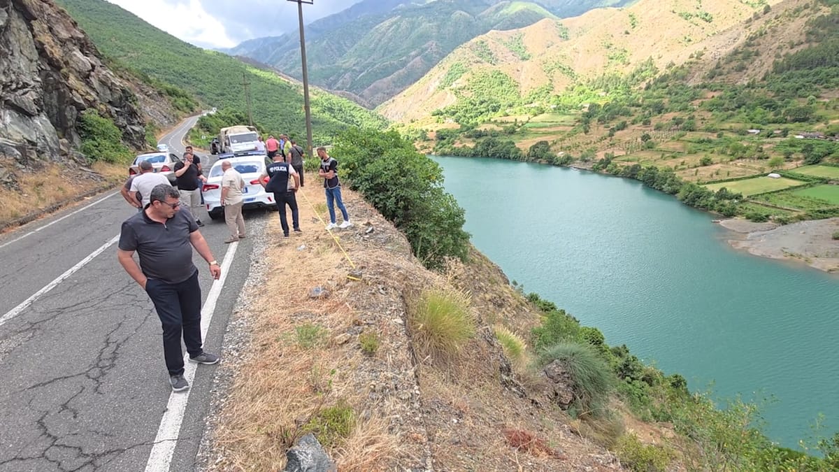 Vrasja e 23-vjeçarit Renis Dobra/ Arrestohen dy prej autorëve, shpallen në kërkim dy të tjerë (EMRAT)