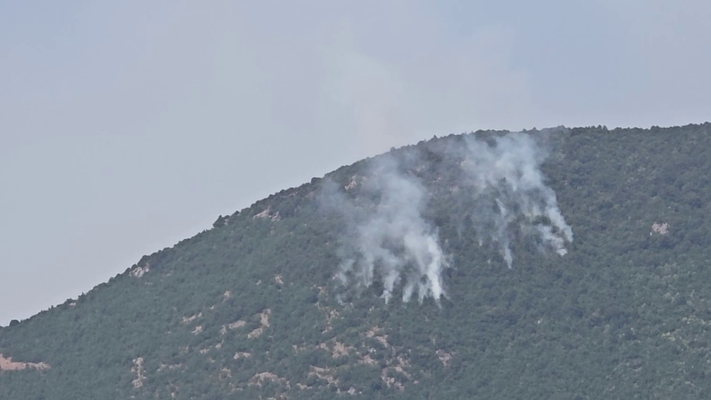 (VIDEO)Zjarret në Bulqizë e Dibër jashtë kontrollit