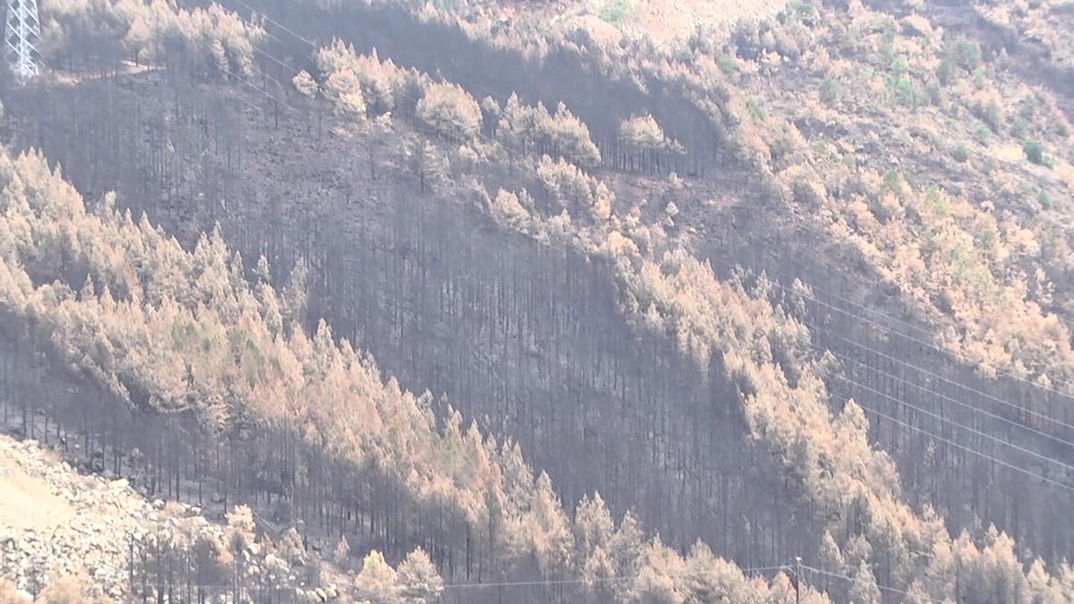 EKSLUZIVISHT NË PLATFORMËN E "MAT TV"