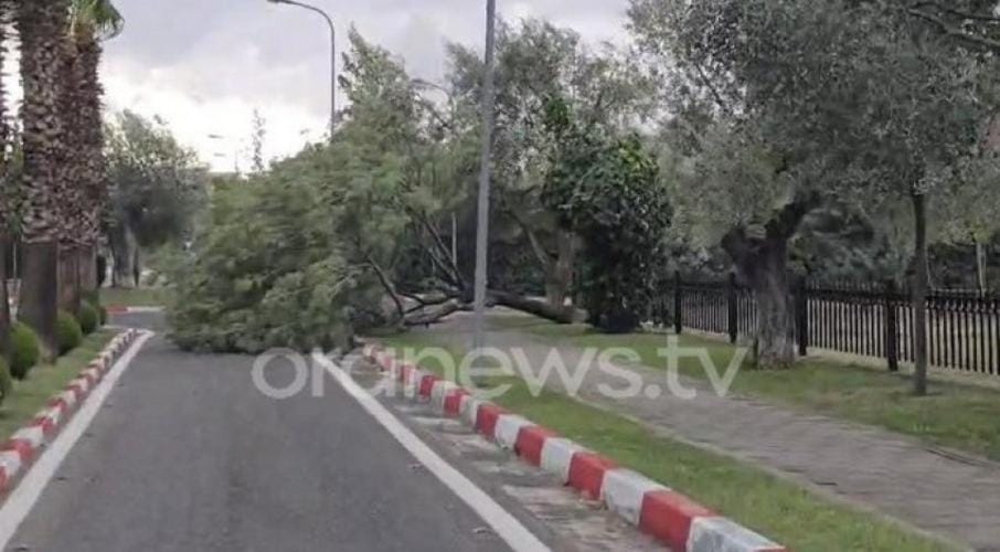 Erë e fortë dhe dhe shi, Tirana bëhet gati për studinë, thyhen pemët