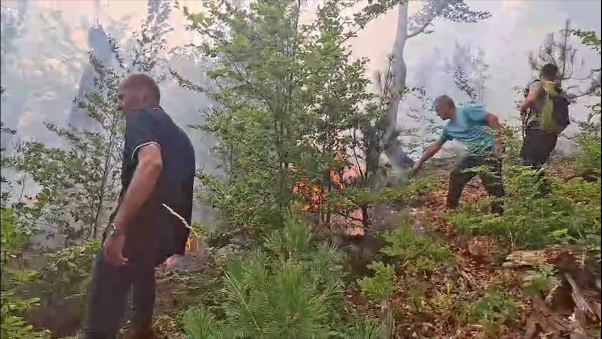 (VIDEO)PREFEKTI I QARKUT DIBËR FËR DËMET NGA ZJARRET