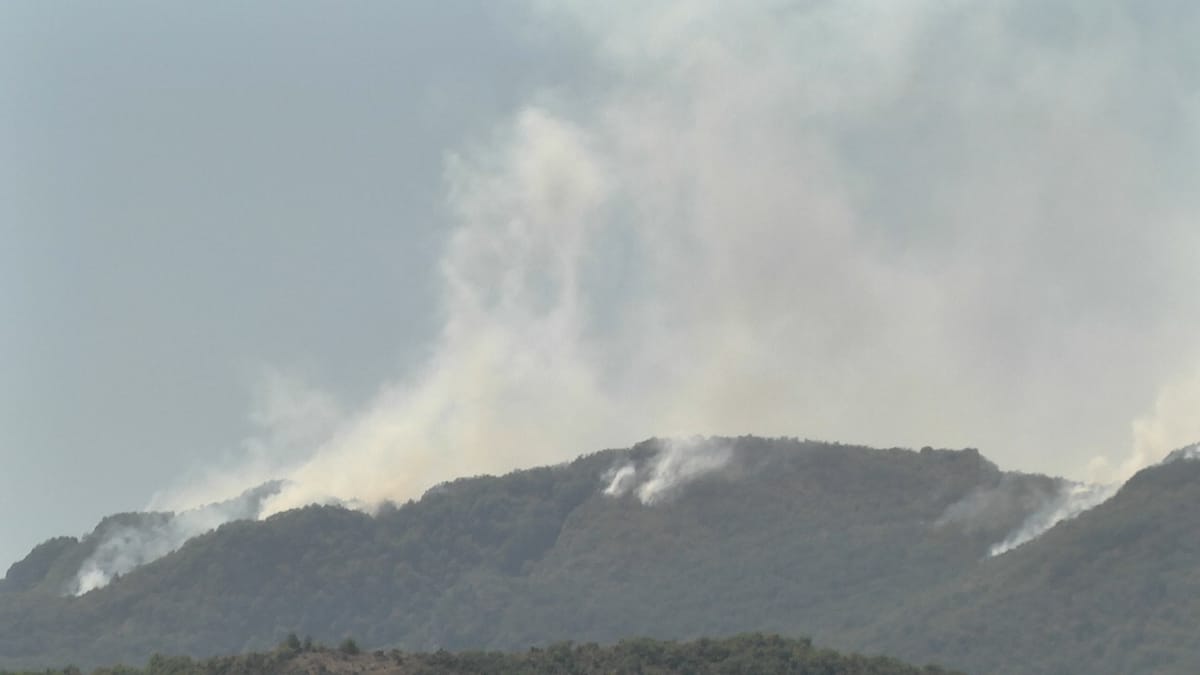 PREFEKTI, ZJARRE AKTIVE NË TË KATËR BASHKITË E QARKUT DIBËR