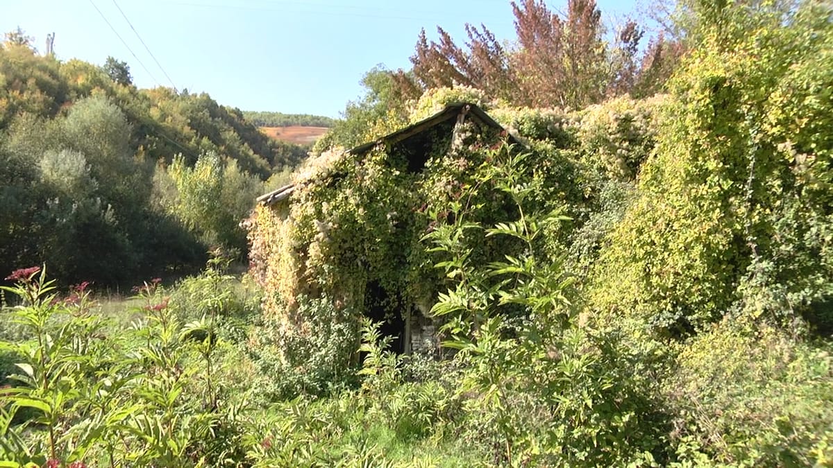 Si u kthyen në fantazma shumë fshatra të Bulqizës pas largimit masiv të banorëve