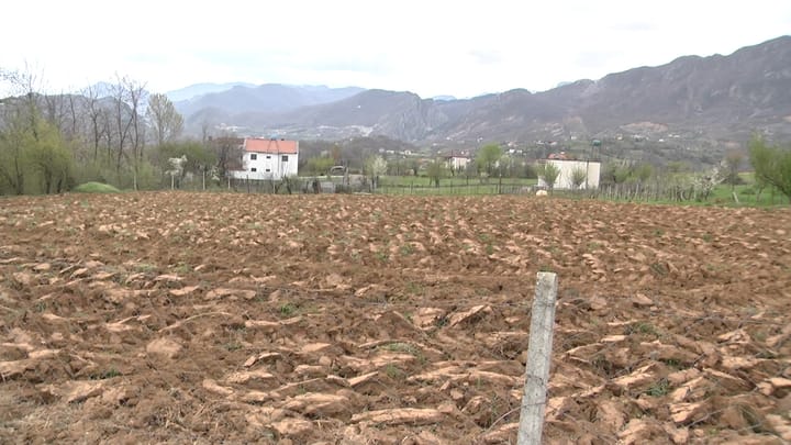 Bujqësia në pikjatë, çmimi i naftës mban peng punimin e tokës