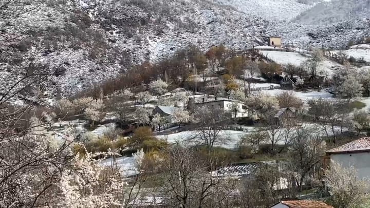 Bulqizë dhe Dibër, bora mbulon fshatrat, priten dëme në bujqësi