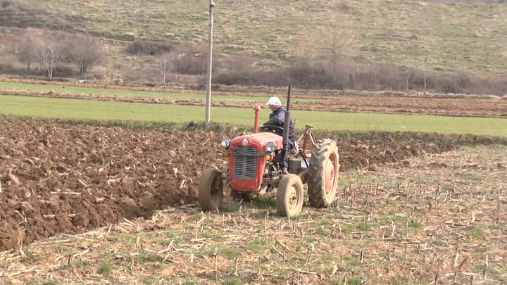 Dibër, fermeri ankohet nga bujqësia: nuk na përgjigjet askush