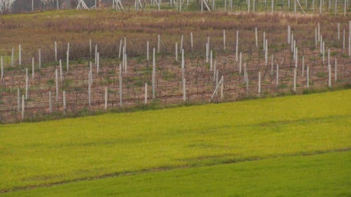 “Subvencione gjithëpërfshirëse”, kërkohet nga banorët e fshatrave