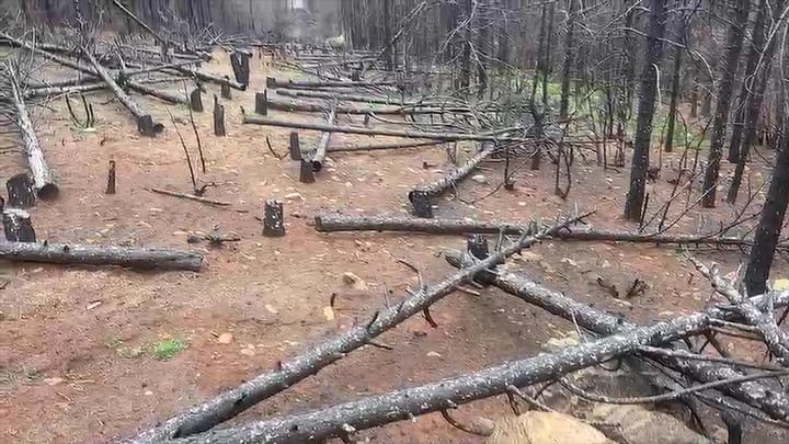 Zona e djegur në fshatin Plan i Bardhë vijon të mbetet ashtu