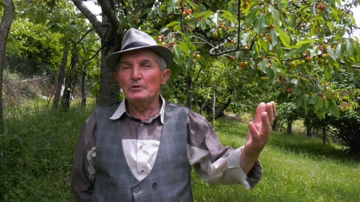 Frutikultura ka nevojë për këshillat e specialistëve