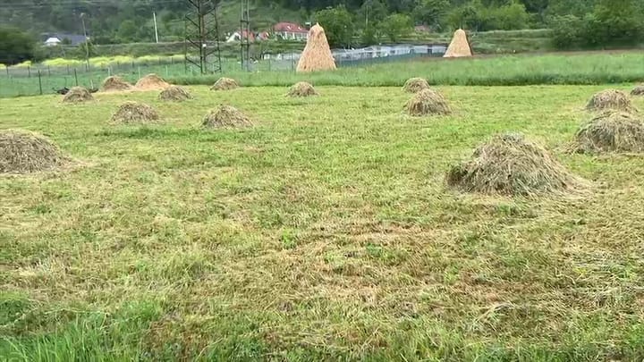 Me 25 Maj hapet skema për mbështetjen në bujqësi