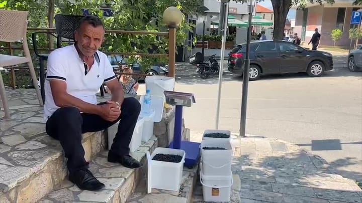 BORONICA E EGËR E DIBRËS DEL NË SHITJE, TREGTARËT: NA MUNGON TREGU NË QYTETIN E PESHKOPISË