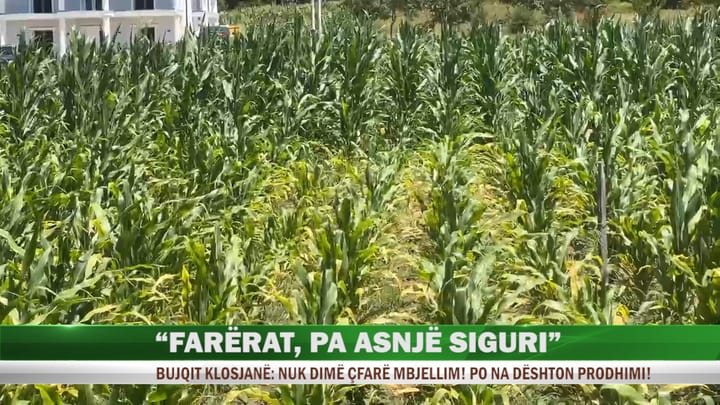 Farërat pa asnjë siguri, bujqit: nuk dimë çfarë mbjellim
