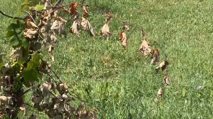 KRAJKA, FSHATI QË PO DIGJET PËR NJË PIKË UJË