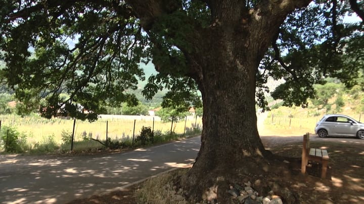 Monumentet e natyrës që mbrohen nga shteti në Bulqizë