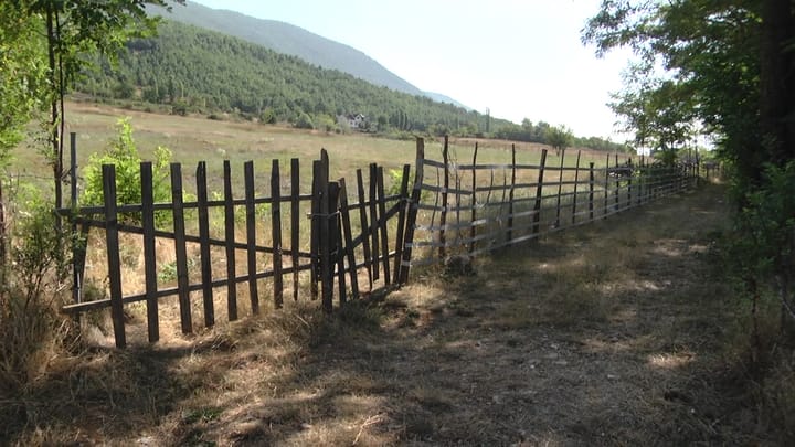 Peladhi, gjysma e fshatit pa vaditje
