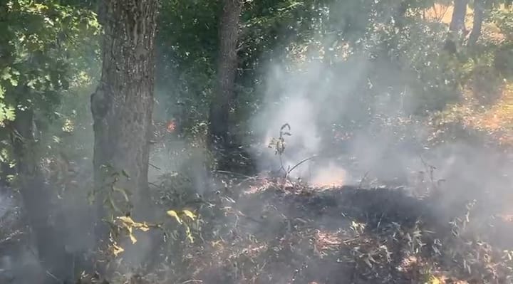 Që dje aktiv, vijon lufta me flakët në Ulëz. Terreni vështirëson operacionin