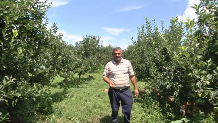 Safet Ferruku, ditën me blegtori e bujqësi, pasdite në protestë në Tiranë