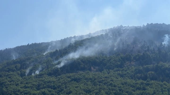 ENDE AKTIVE VATRAT E ZJARRIT NË QARKUN DIBËR, VIJON NDËRHYRJA PËR SHUARJEN E FLAKËVE