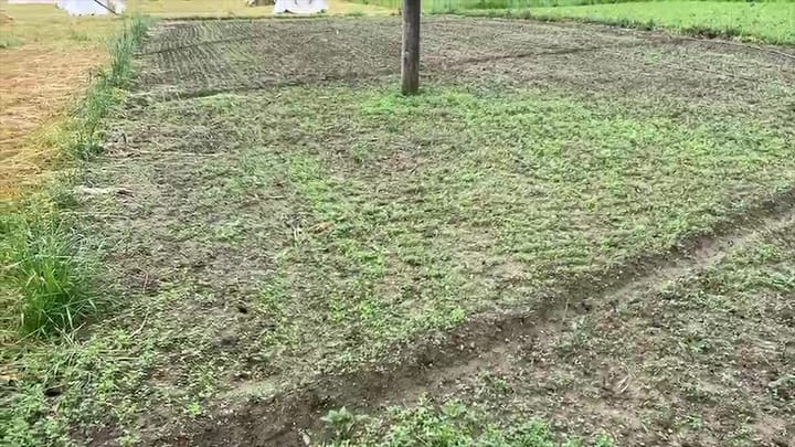 FERMERËT NË PRITJE TË LËVRIMIT TË FONDEVE, AUTORITETET NË FAZËN E VERIFIKIMIT