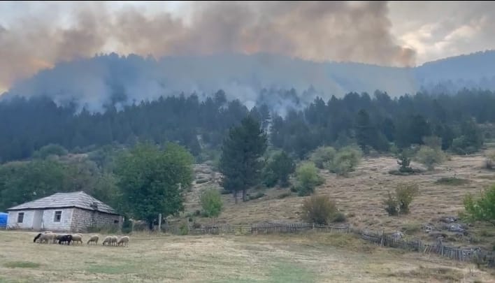 Lurë – Përkeqësohet situata nga zjarri, flakët i afrohen banesave