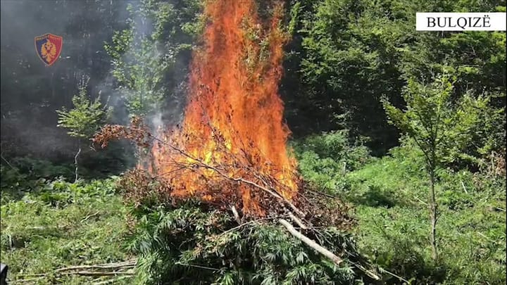 NGA KAMZA NË OKSHTUN TË BULQIZËS, 37-VJEÇARI KAPET DUKE VADITUR HASHASHIN