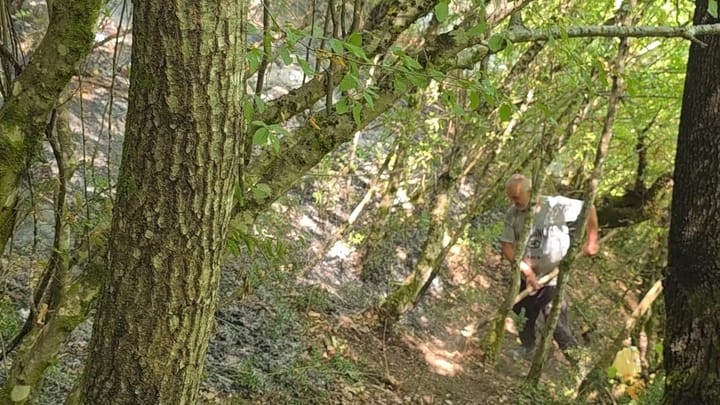 Situata nga zjarret në Qarkun Dibër, prefekti Shehu: është në monitorim, vetëm një vatër aktive në Ballenjë