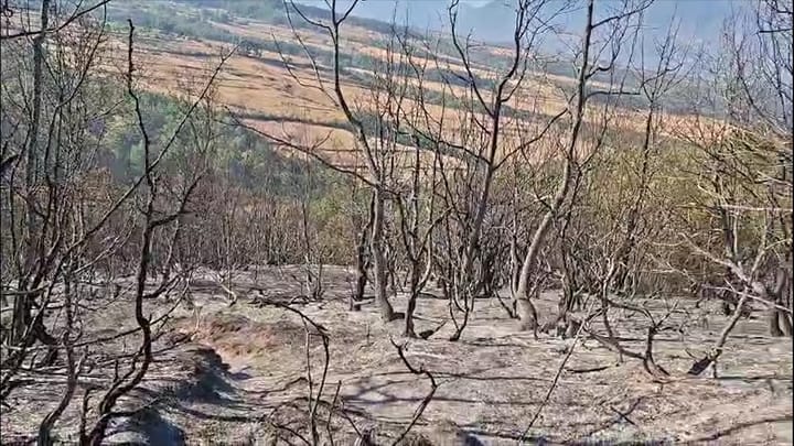 IZOLOHET VATRA E ZJARRIT NË MALLUNXË, NË ULËZ SITUATA MBETET KRITIKE