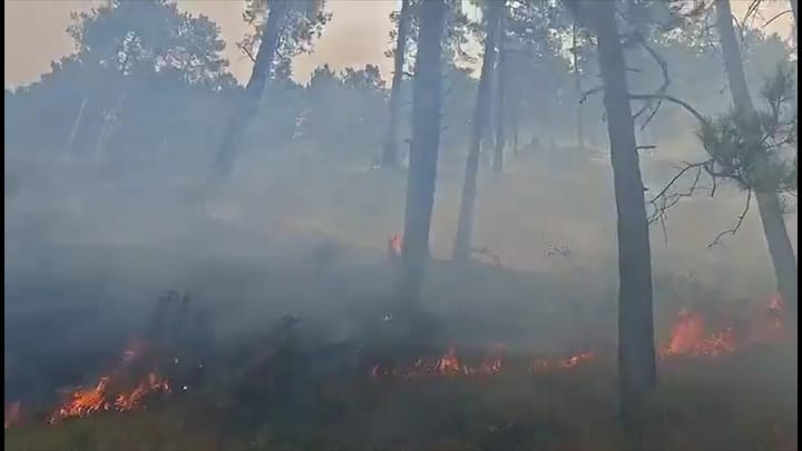 ZJARRI NË FSHATRAT E ULZËS, SITUATA MBETET KRITIKE
