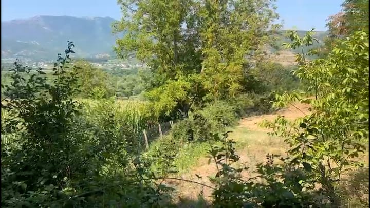 E rëndë në Maqellarë, një 70-vjeçare gjendet pas tre muajsh e masakruar në një pyll