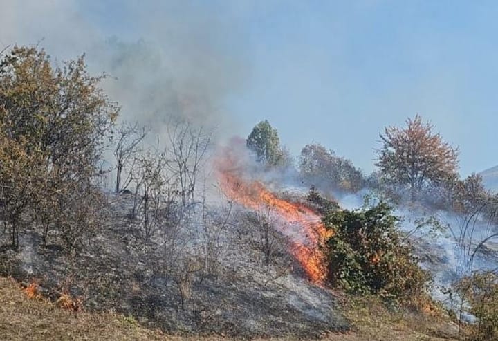 Zjarri në Kollovoz të Kukësit, Flakët Nën Kontroll Pas Ndërhyrjes Së Shpejtë
