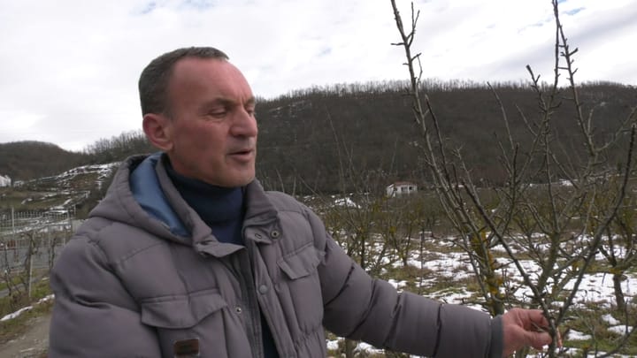 Ngricat, jo vetëm anë negative, në bujqësi shërbejnë pozitivisht