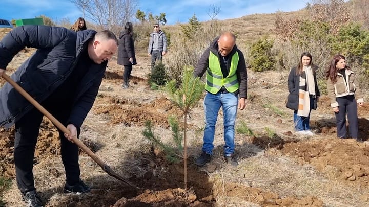 Nis mbjellja e fidanëve të parë për këtë vit në Bashkinë Mat