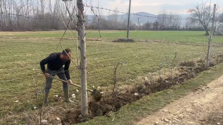 Gjoricë, 35-vjeçari që nuk është larguar jashtë vendit, punon në fshatin e tij të lindjes