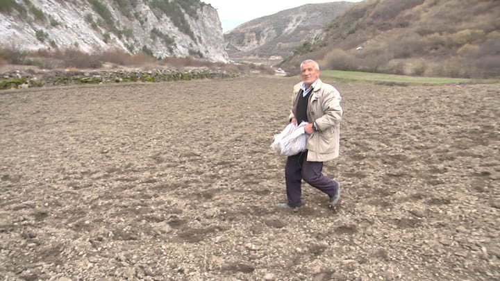 Kultivuesi i patates në Rabdisht të Dibrës: Nuk kemi siguri për tregun