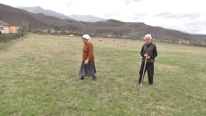 Suç / Bashkëshortët Sulaj nuk i ndahen bujqësisë