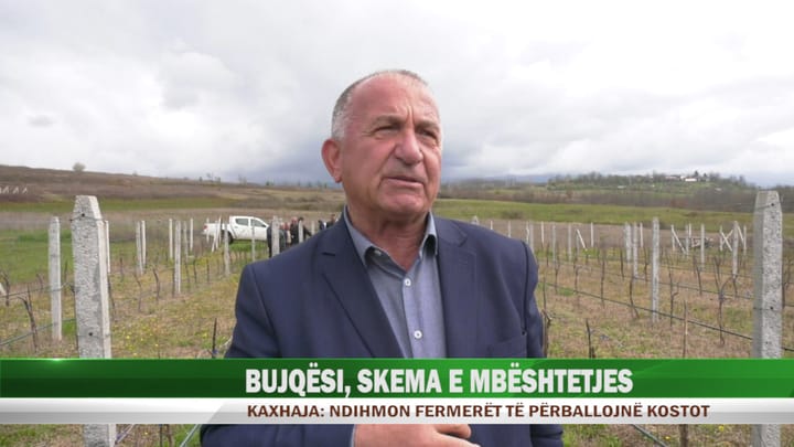 Skema kombëtare e mbështetjes në bujqësi, Kaxhaja: ndihmon fermerët të përballojnë kostot e shpenzimeve
