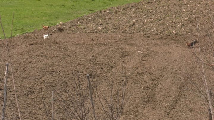 SULLTAN NEVRUZI KA RITET E TIJ