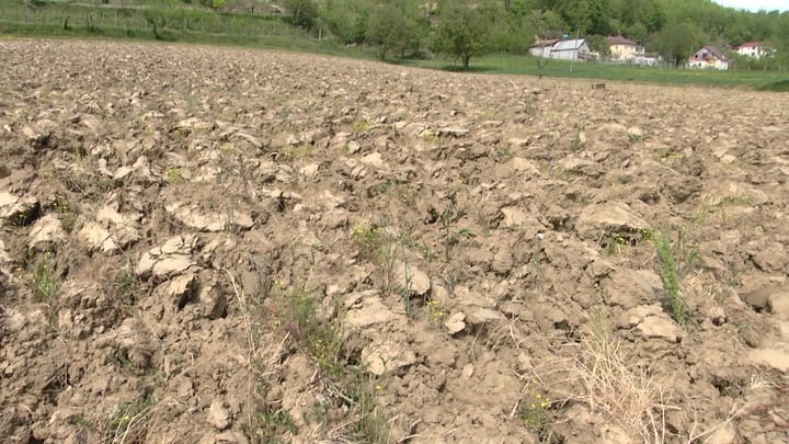 KLOS / BUJQËSIA BIE PRE E THATËSIRËS