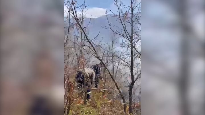 Fiket vatra e zjarrit në Mazhicë të Shupenzës