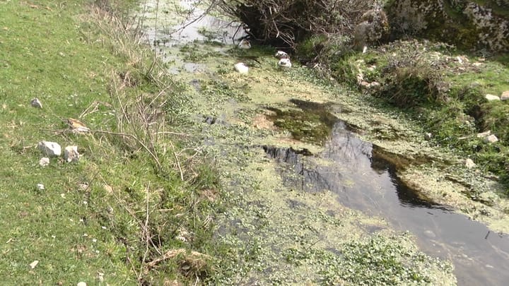 Ankohet banori në Peladhi: bllokimi i kanalit, uji na hyn në banesë