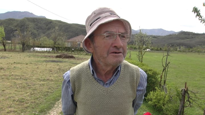 Subvencionet në bujqësi, jo të gjithë kanë aplikuar dhe jo të gjithë janë të kënaqur me masën