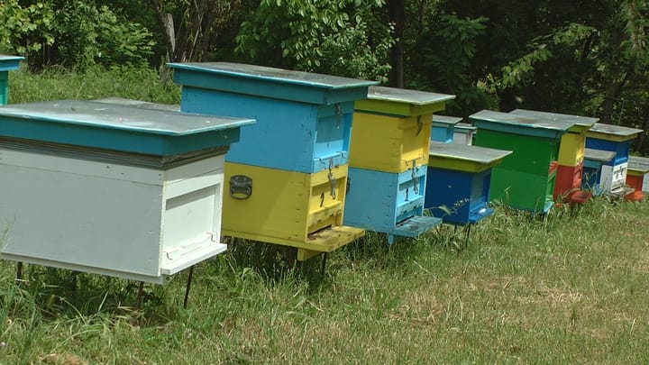 Mbyllen aplikimet për subvencionet në bujqësi