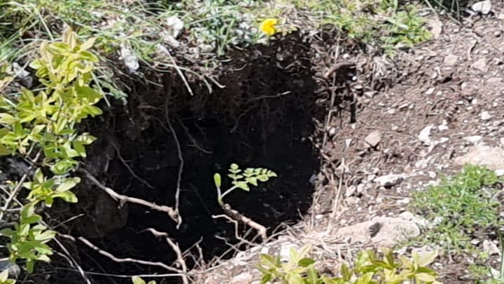 Gjuetar thesaresh tek Kalaja e Petralbës? Gërmime të pazakonta në hapsirën e brendshme