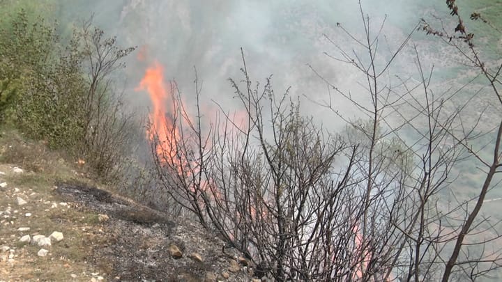 FUSHË BULQIZË / ZJARR NË KODRËN E DANIT