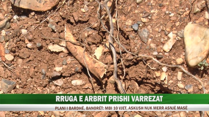 Plan i Bardhë, eshtrat njerëzore dalin në sipërfaqe. Banorët: u dëmtuan gjatë hapjes së rrugës së Arbrit