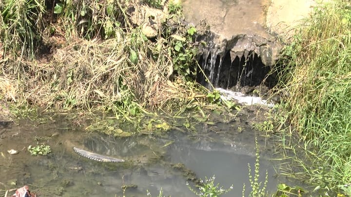 Ujërat e zeza rrjedhin lirshëm në Suç
