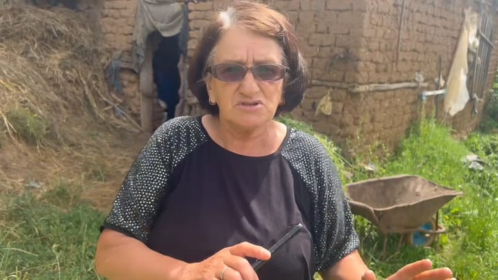 I sekuestruan viçat me pretendimin se ishin kontrabandë nga Maqedonia e Veriut, e moshuara denoncon policinë