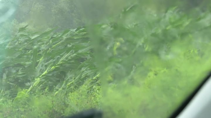 Reshje lokale shiu në Mat, nuk raportohen dëme të mëdha në bujqësi