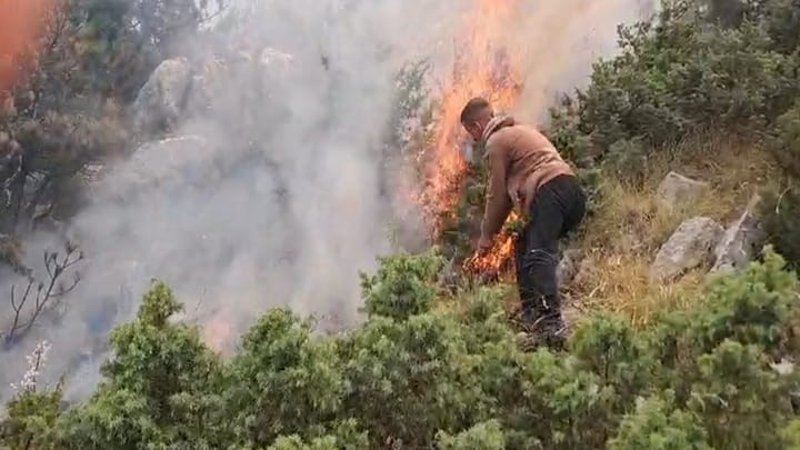 Tjetër vatër zjarri në Lurë, digjen 10 ha me pemë halore, zjarri vion aktiv edhe në Ulëz