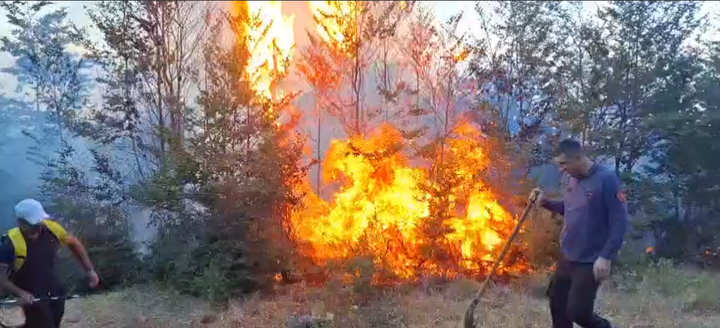 Një tjetër vatër zjarri shfaqet në Maqellarë, nis ndërhyrja nga toka